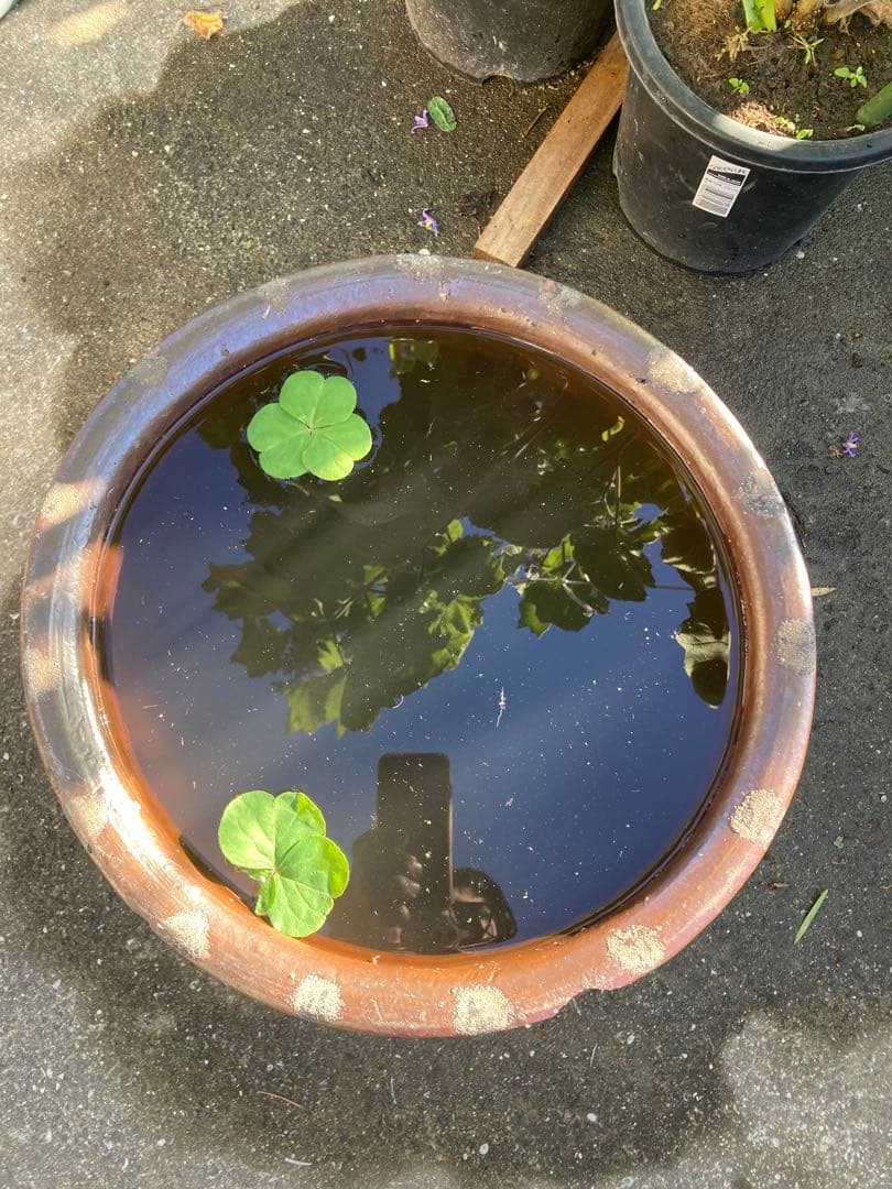 存在感抜群！時代物 陶器の大型甕 古い壺 。茶褐色。和モダン 55センチ