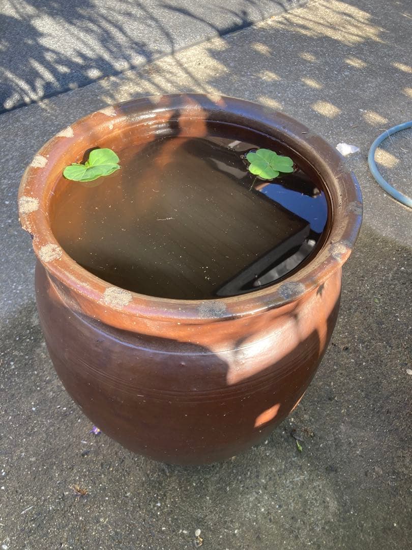 存在感抜群！時代物 陶器の大型甕 古い壺 。茶褐色。和モダン 55センチ