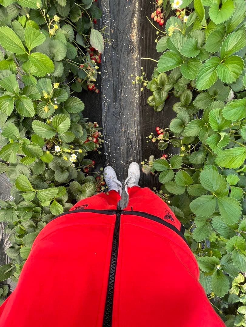 Nike リバプールFC テックフリース レッド