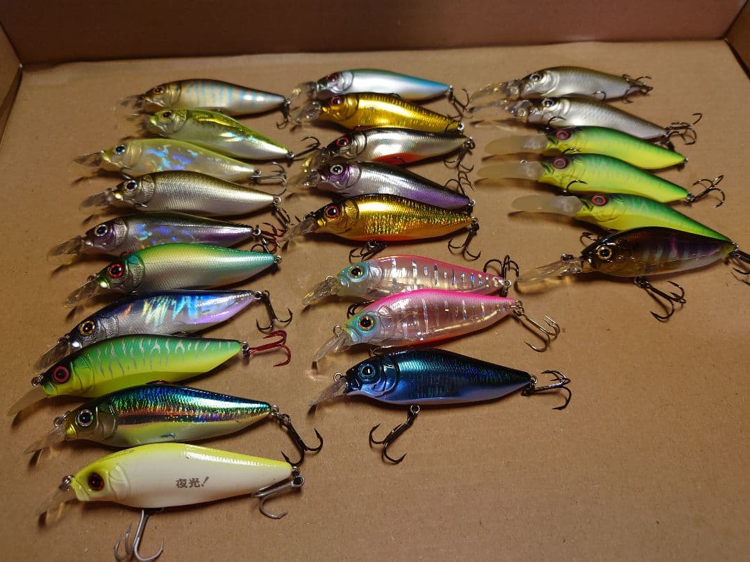 バス釣り引退セット　メガバス　エバーグリーン　ガンクラフト