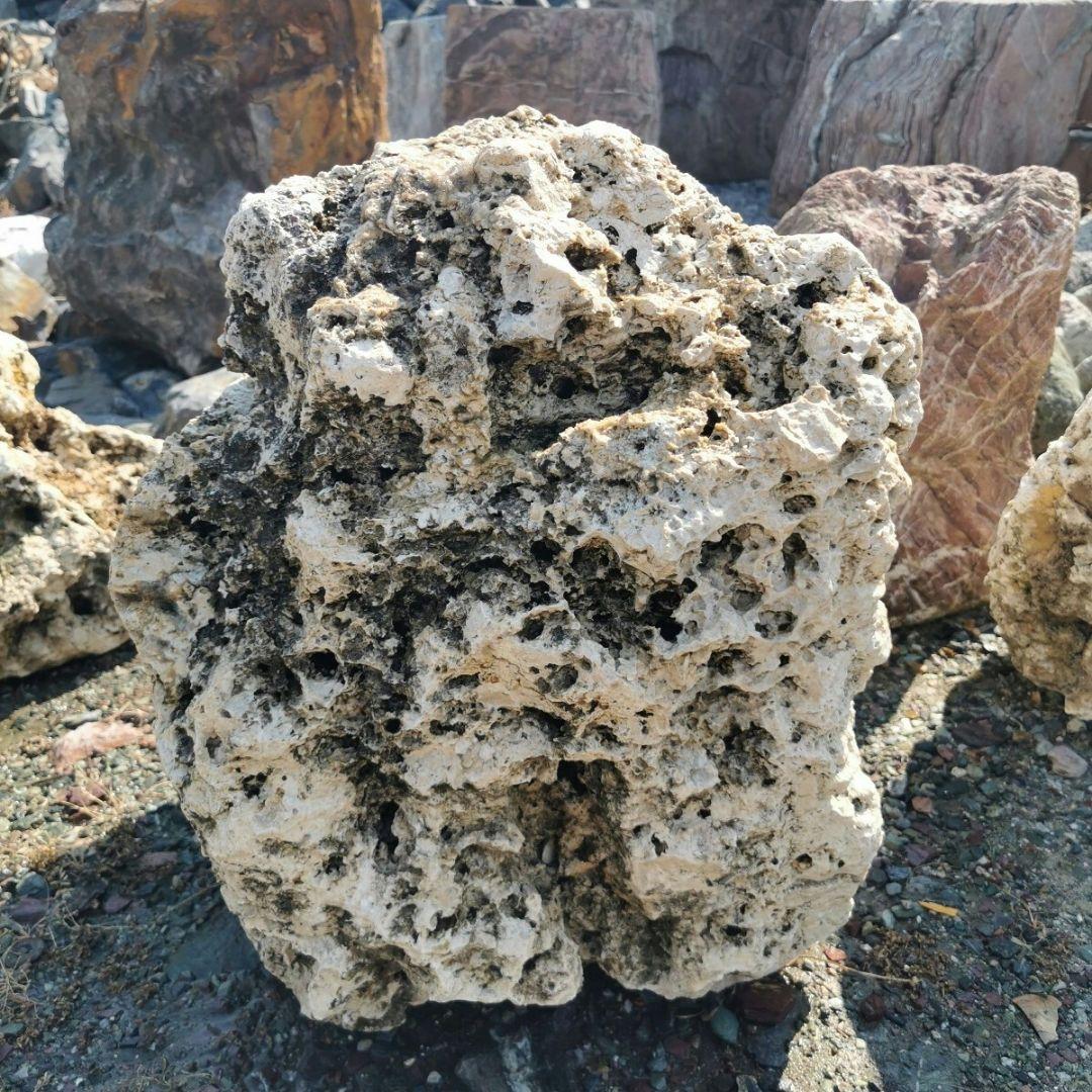 サンゴ石　93キロ　庭石　石　鑑賞石 石材　庭　ガーデニング　置物　オブジェ