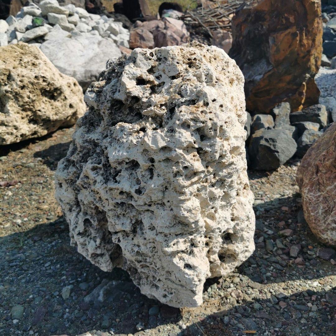 サンゴ石　93キロ　庭石　石　鑑賞石 石材　庭　ガーデニング　置物　オブジェ