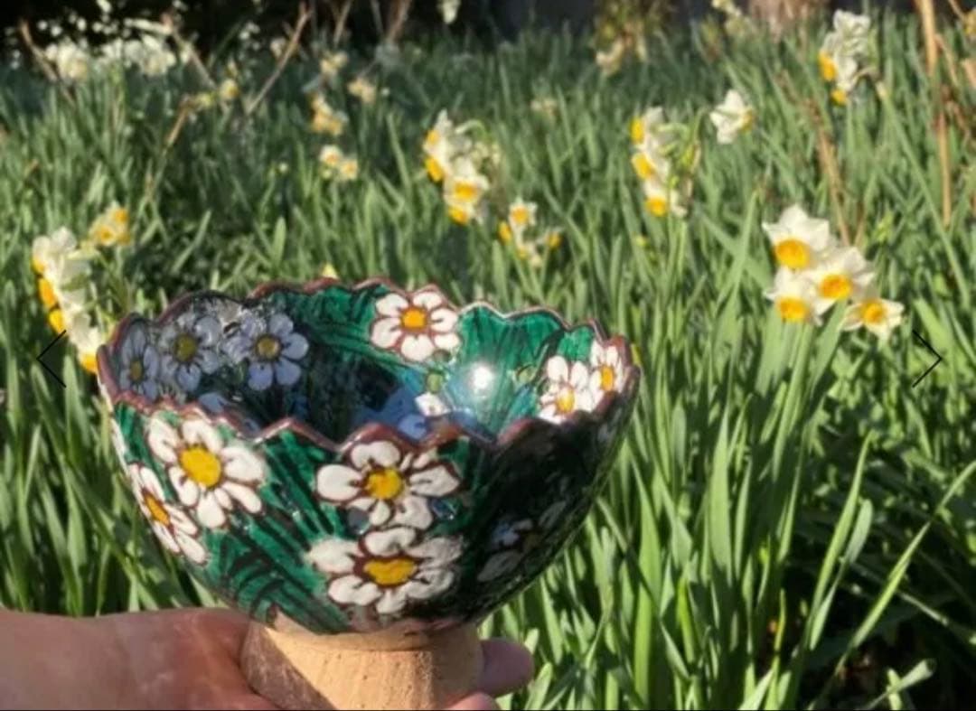 乾山写水仙向付5客　清水焼　新品未使用