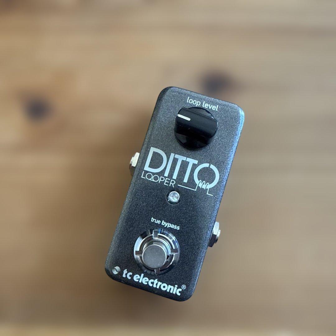 ギター tc electronic Ditto Looper