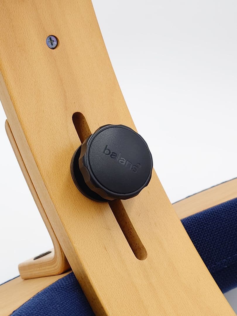 バランスイージー バランスチェア ネイビー サカモトハウス　カバー付き