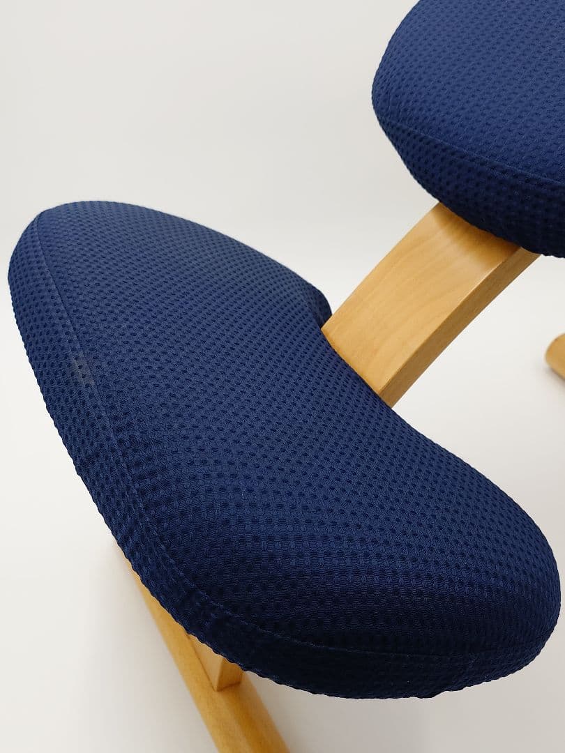 バランスイージー バランスチェア ネイビー サカモトハウス　カバー付き