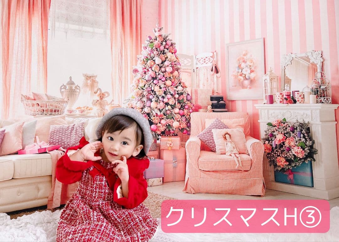 背景布×10+2　ペット撮影用フォトブース　トリミングチョーカー販売中　Xmas