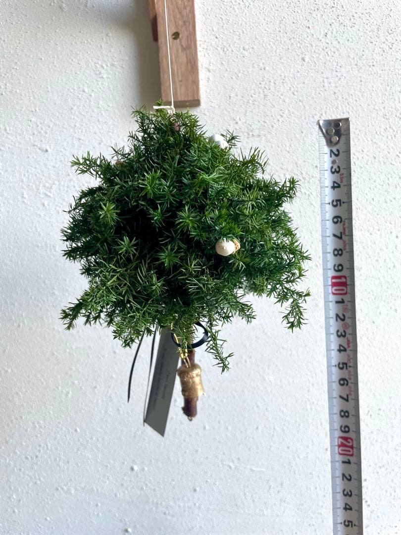 ミニツリーのフライングリース　（プリザーブド）