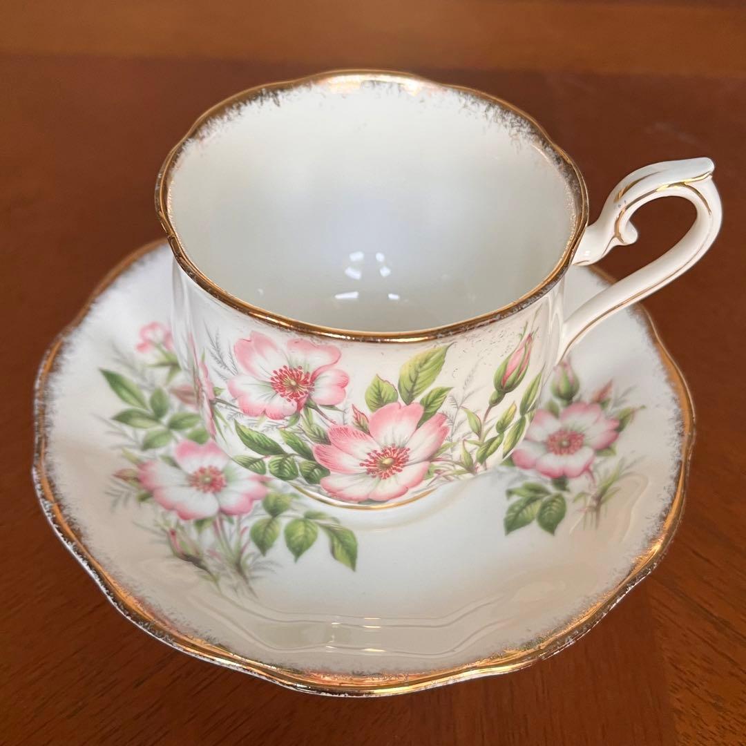 【英国ビンテージ】ロイヤルアルバート★ワイルドローズ★C/S