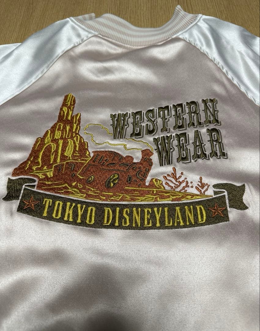 東京ディズニーリゾート スタジャン LL ミッキー リバーシブル ジャンパー