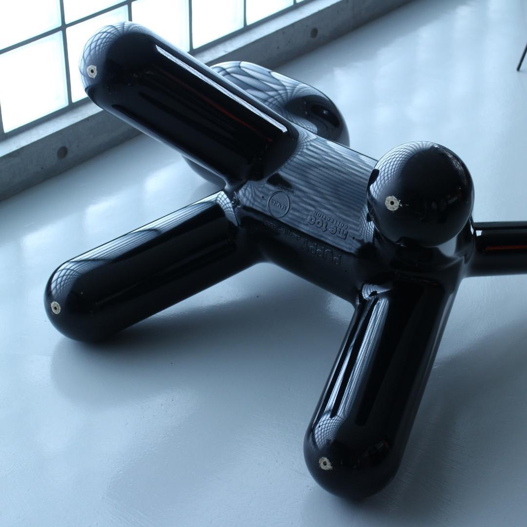 MAGIS Puppy Glossy XL マジス パピー