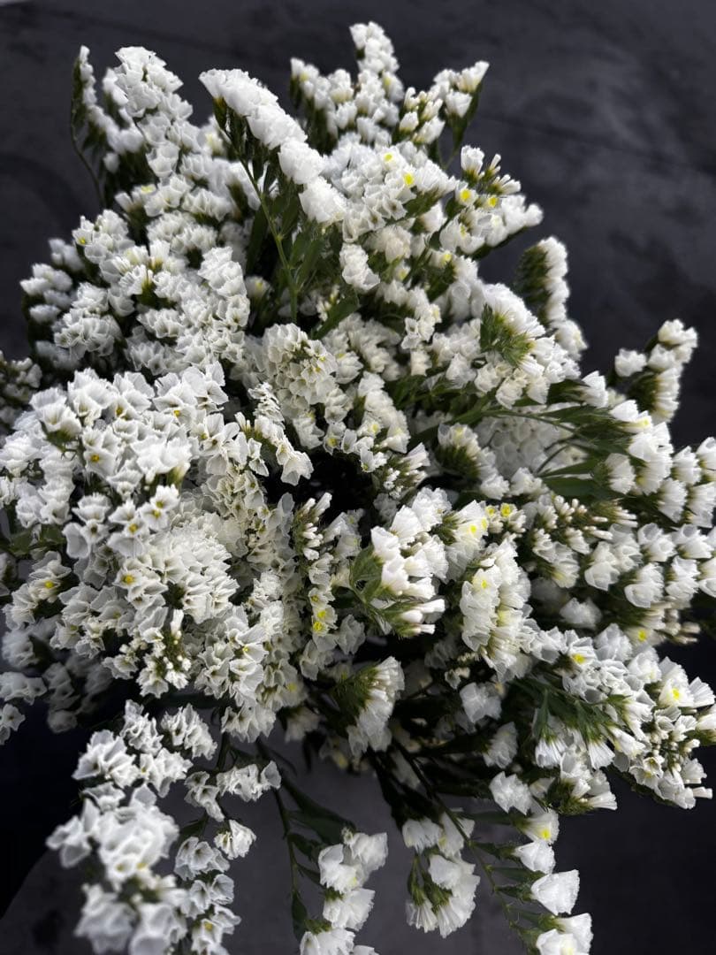 cutemio様 リクエスト 4点 まとめ商品