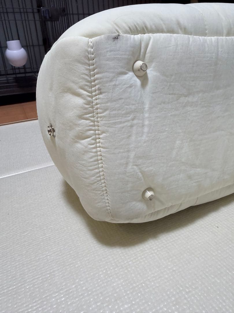 【SSFW】マロンバック（クリーム）　1SIZE