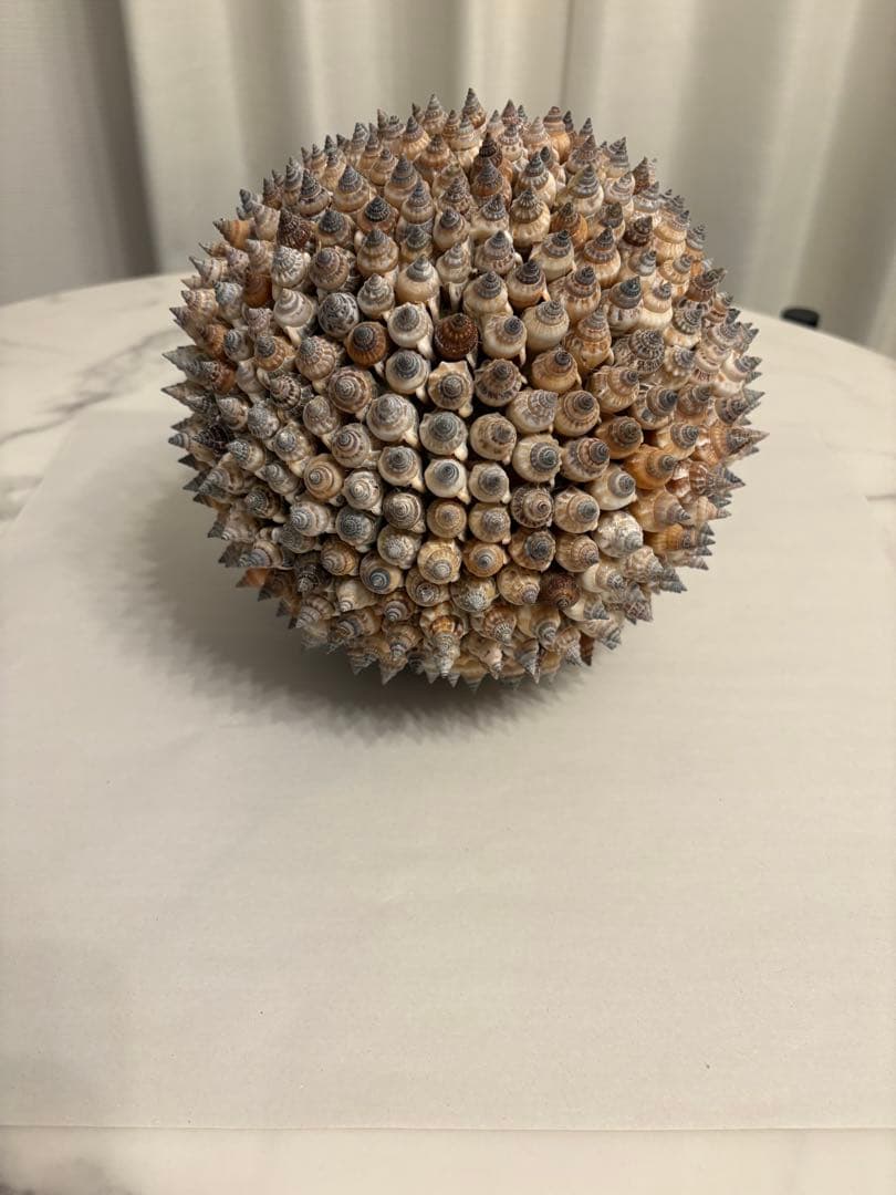 貝殻のスパイキーな置物 約15cm