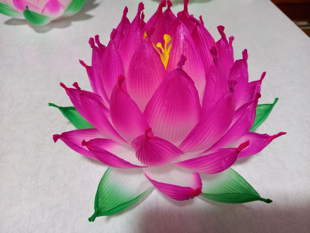 アインさま専用