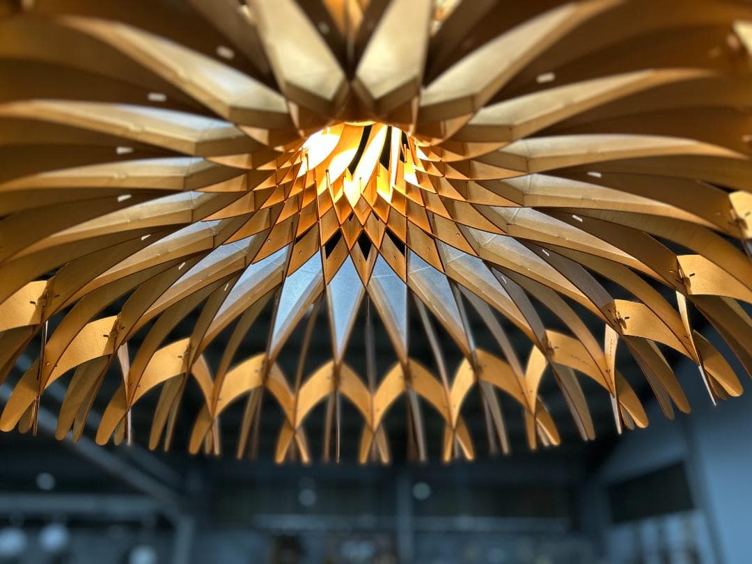 LUMINABELLA｜ルミナベッラ　BOVER｜Dome 60-01