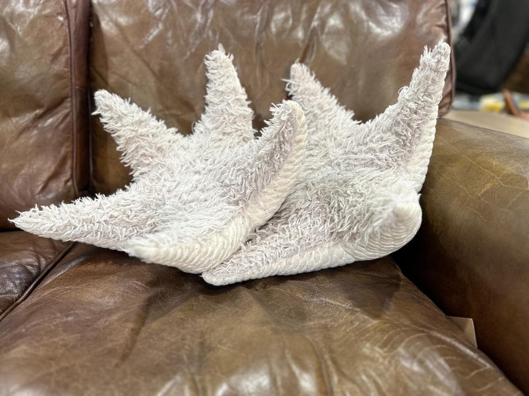 【セット】Ron Herman / ロンハーマン　BigStuffed　ヒトデ