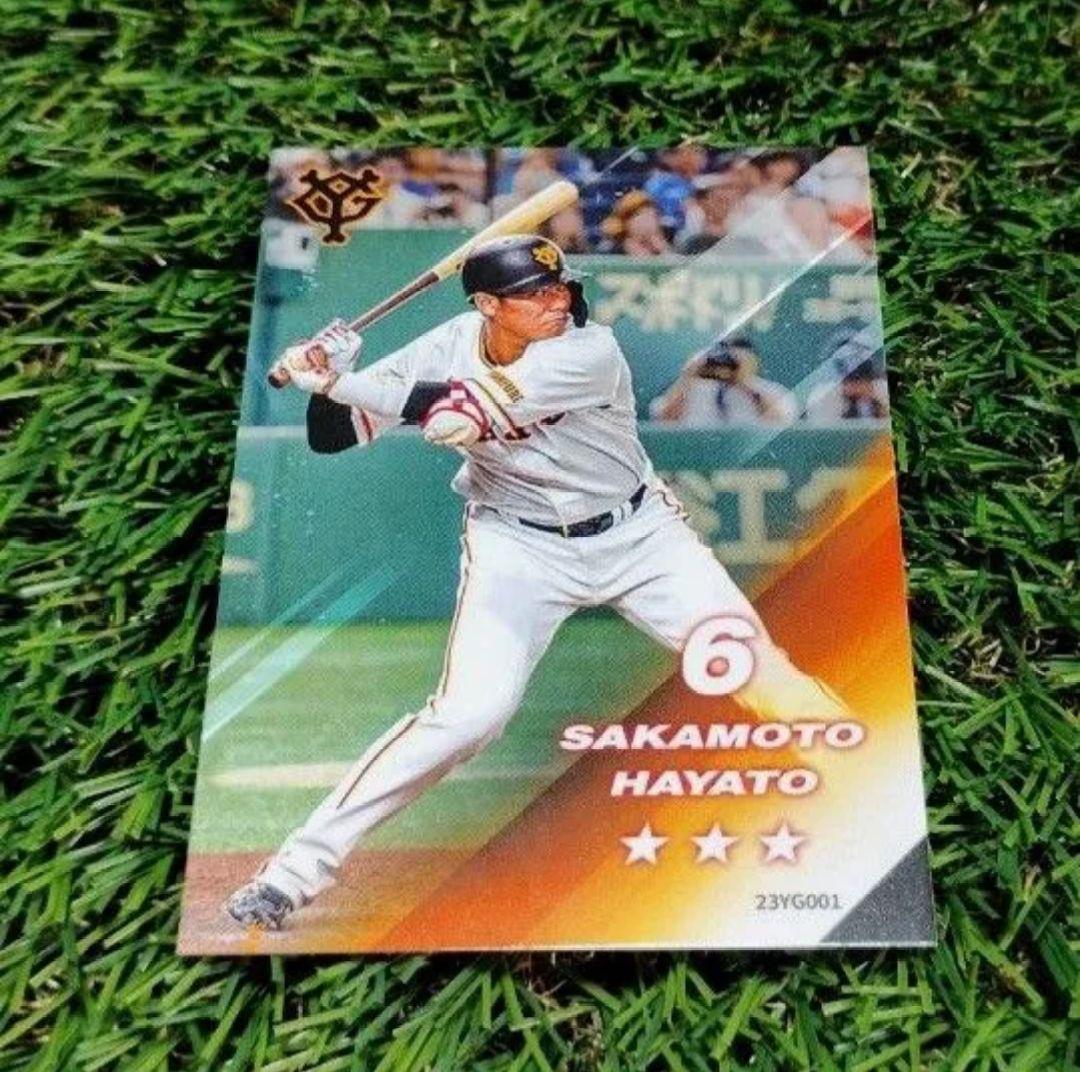 木製バット　SSK　坂本勇人　①