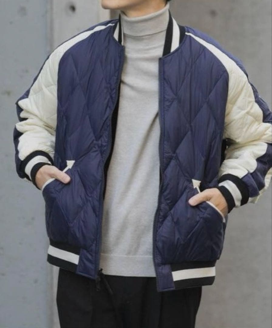 TAION　Reversible SKAJAN Down Jacket