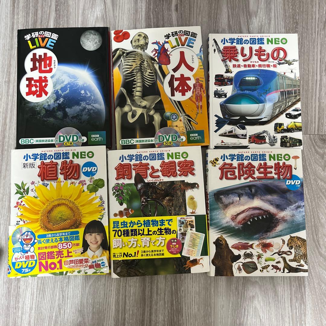小学館の図鑑NEO 12冊➕学研の図鑑LIVE2冊　楽しみながら知識が身につく