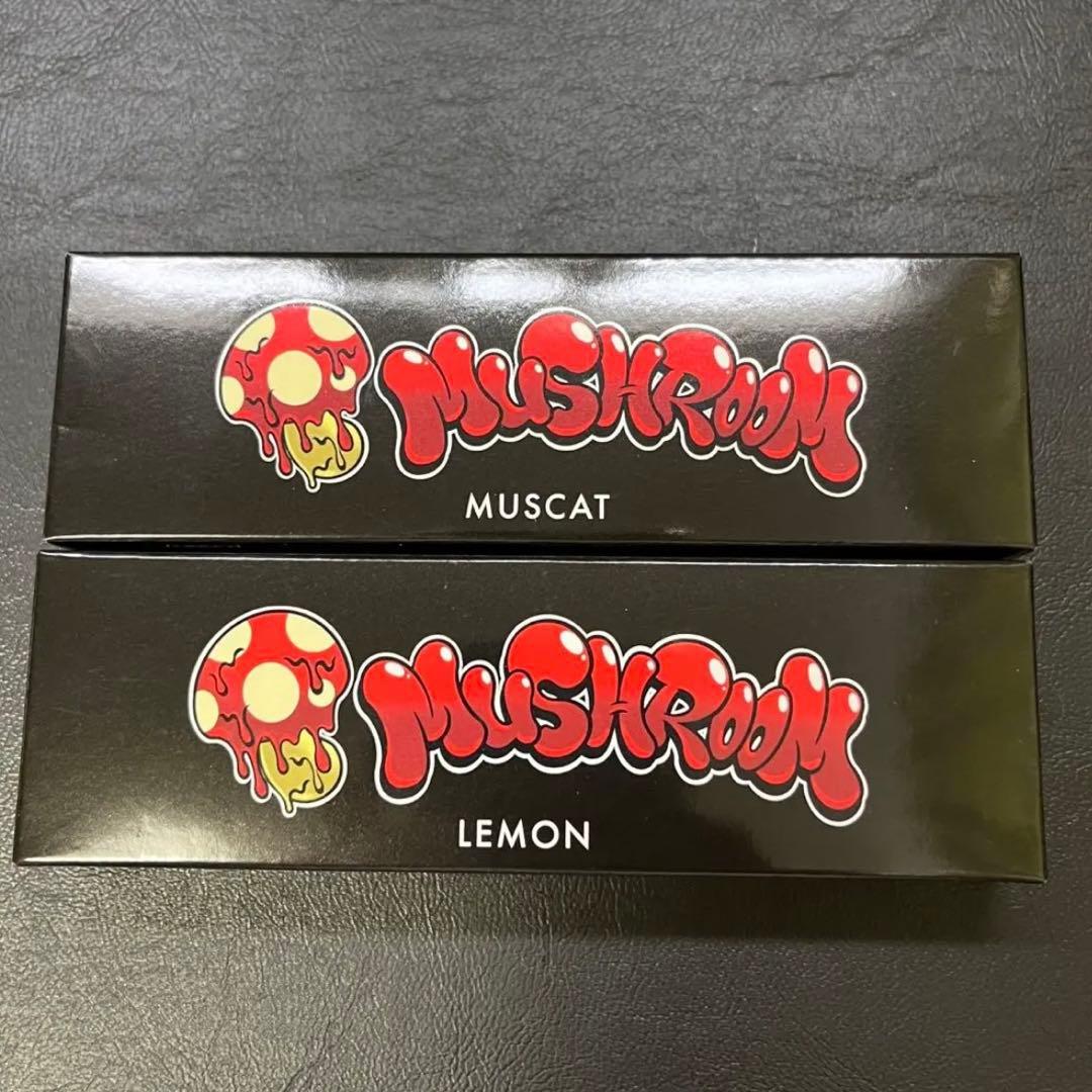 新品未使用 がーどまん シーシャ レモン 2本セット