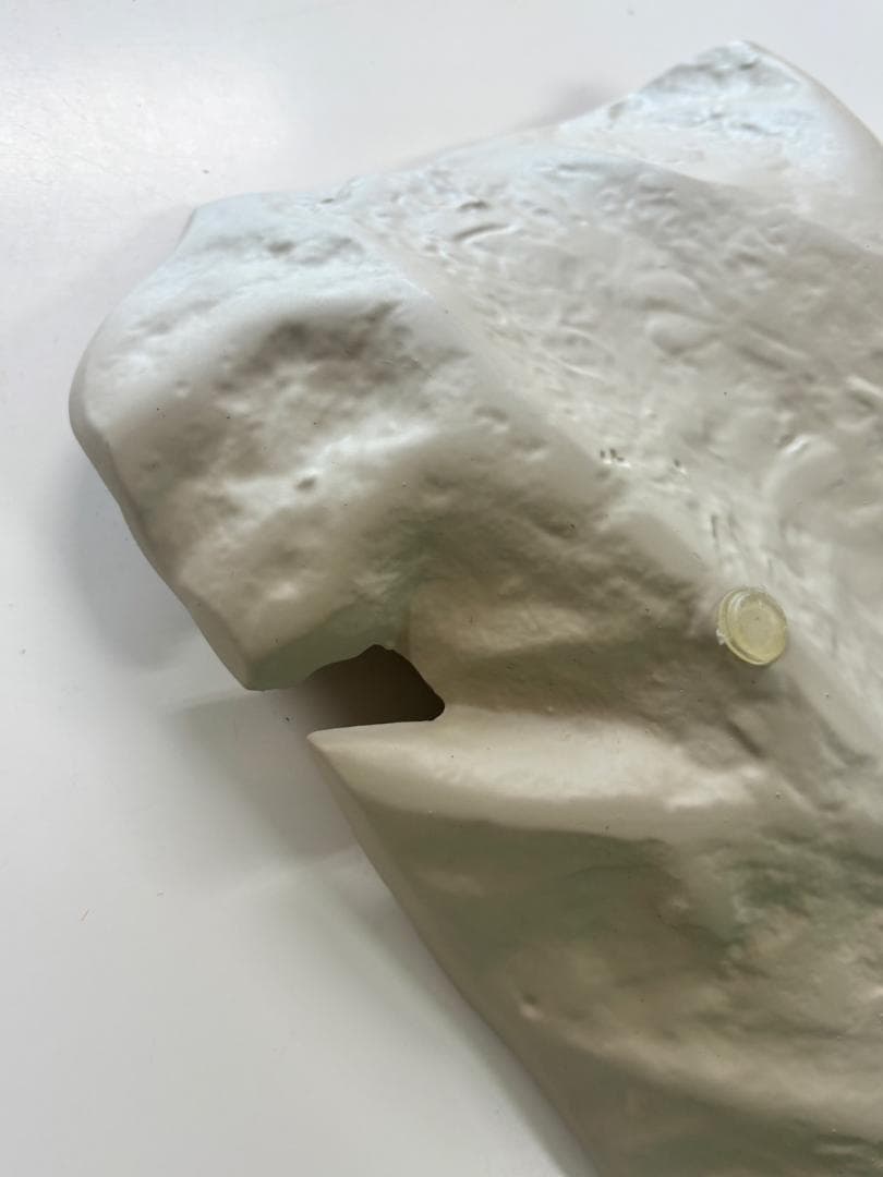 BoConcept 小物入れ / Velvet leaf / 彫刻