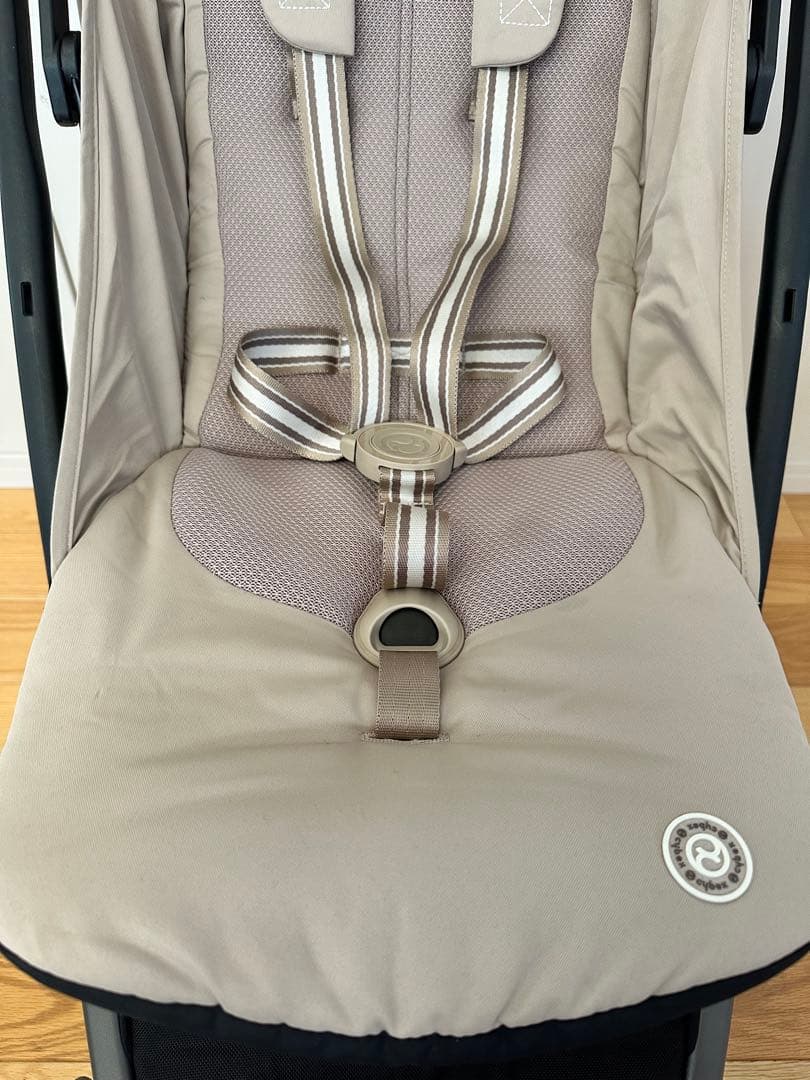 サイベックスリベル　2024年モデル