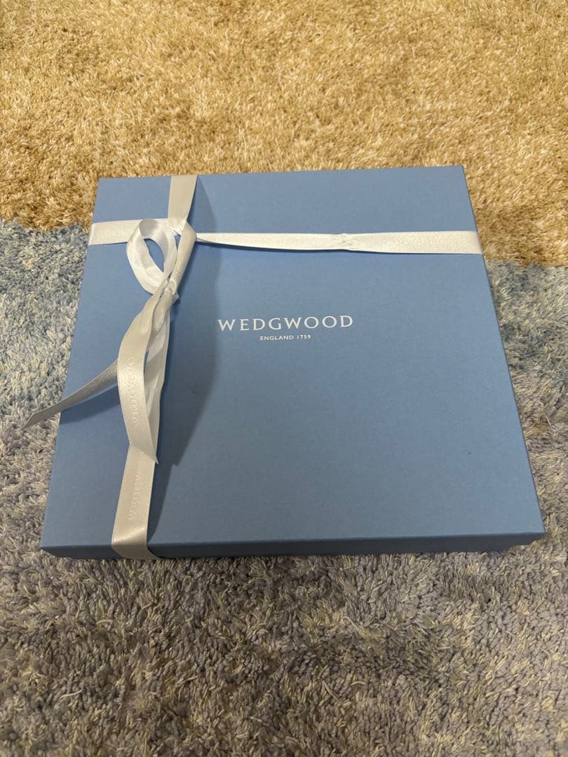  ワイルド ストロベリー プレート 23cm ペア　定1.8万円