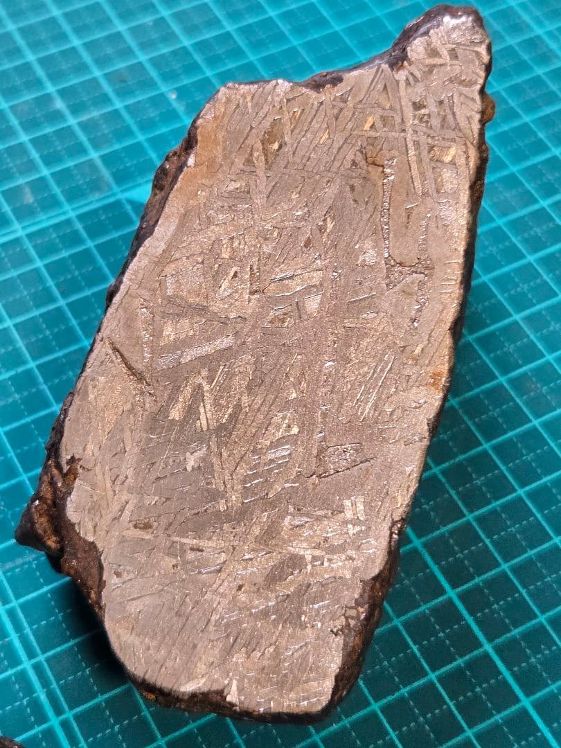 アルタイ隕石　鉄隕石　2870g