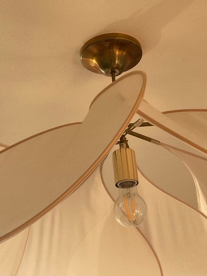 フランス製 ホワイト花びらデザインのライト ラタン