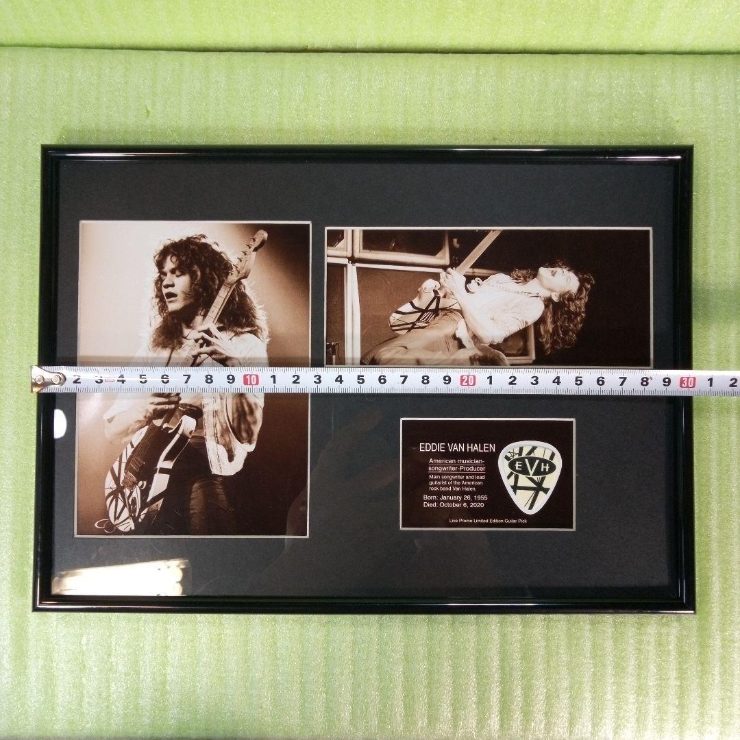 EDDIE VAN HALEN　置物　額　ピック　アート　インテリア　オブジェ