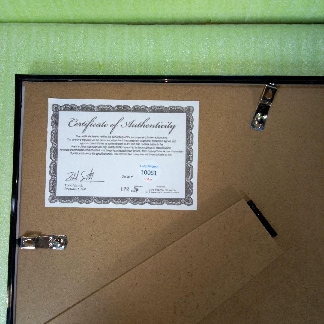 EDDIE VAN HALEN　置物　額　ピック　アート　インテリア　オブジェ