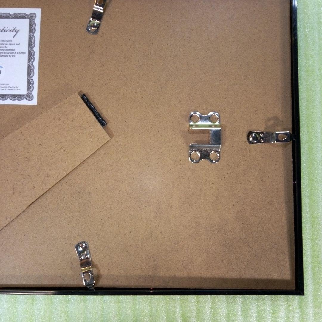 EDDIE VAN HALEN　置物　額　ピック　アート　インテリア　オブジェ