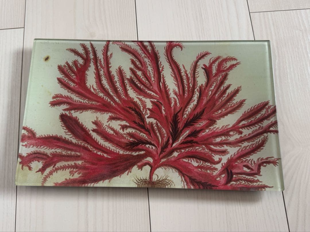 JOHN DERIAN ジョンデリアン デコパージュ プレート