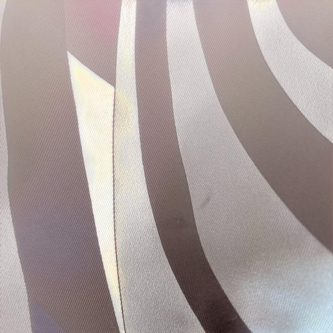 エミリオプッチ　バック