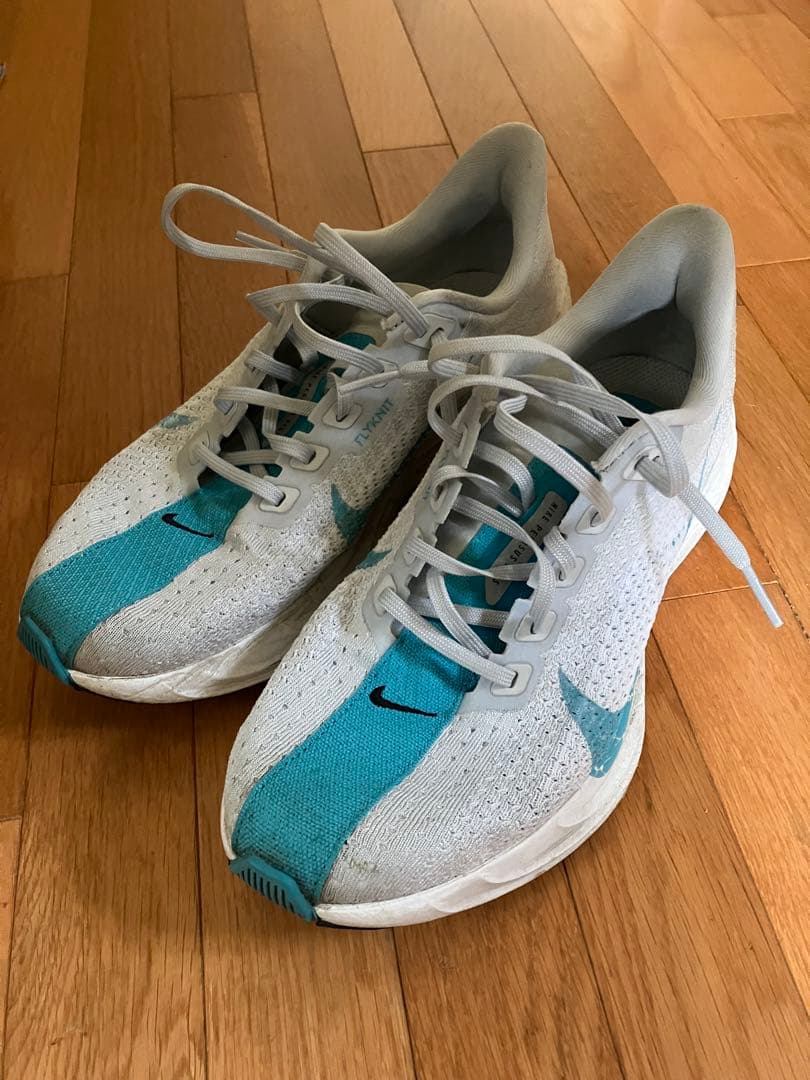 Nike ペガサスプラス 25cm