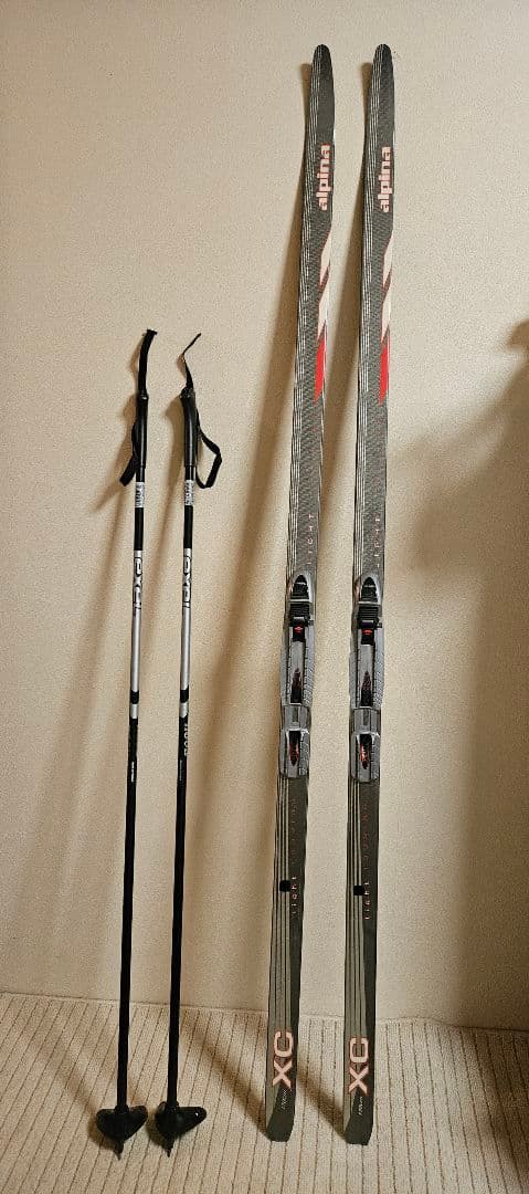 alpina クロスカントリー スキーセット