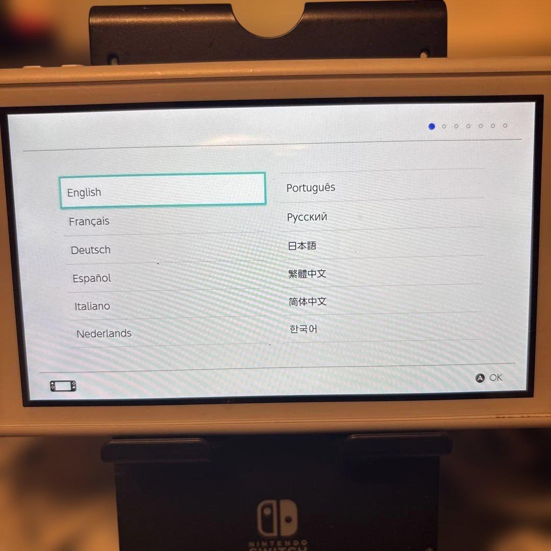 任天堂Switch lite　ザシアン・ザマゼンタモデル　プロコン、スプラ2付き