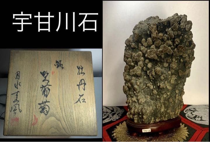 2403 宇甘川石 牡丹石 『堅葡萄』  高29(cm) 8.04kg