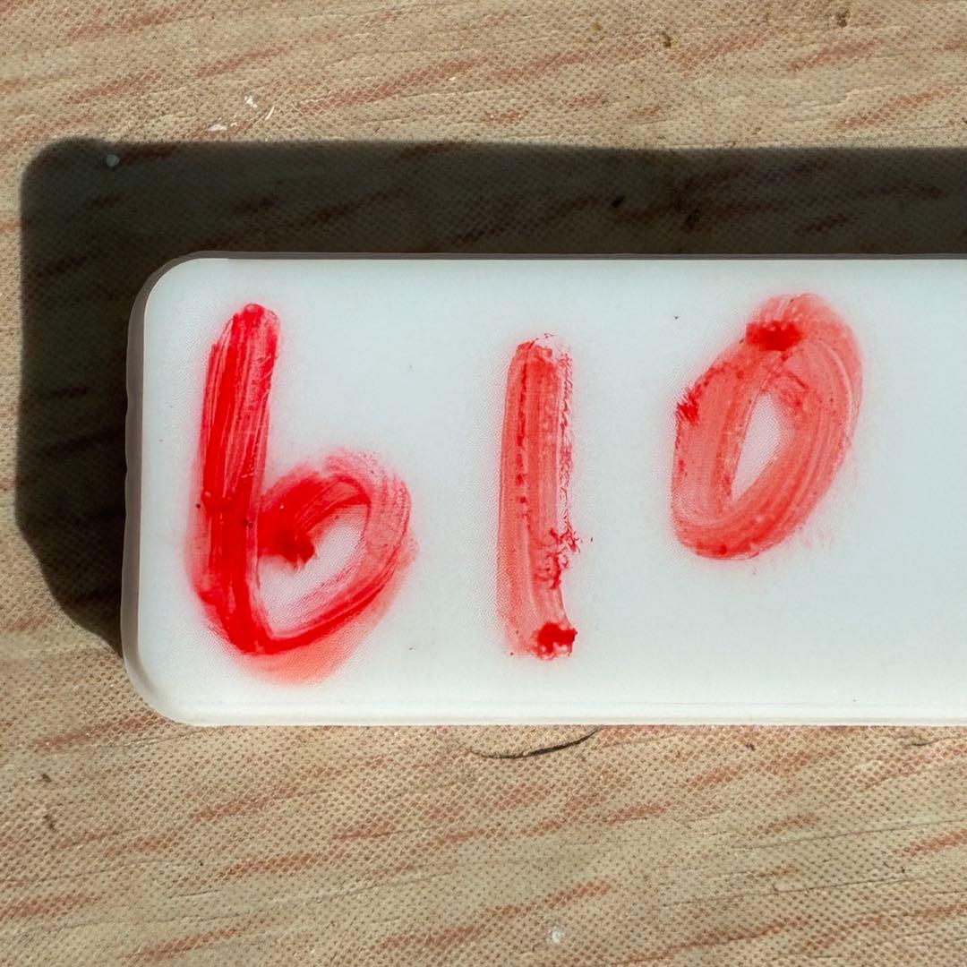 の*ん様 ☘️超特大☘️開花株❤️6号❤️根パンパン❤️610Ash【ATLAS