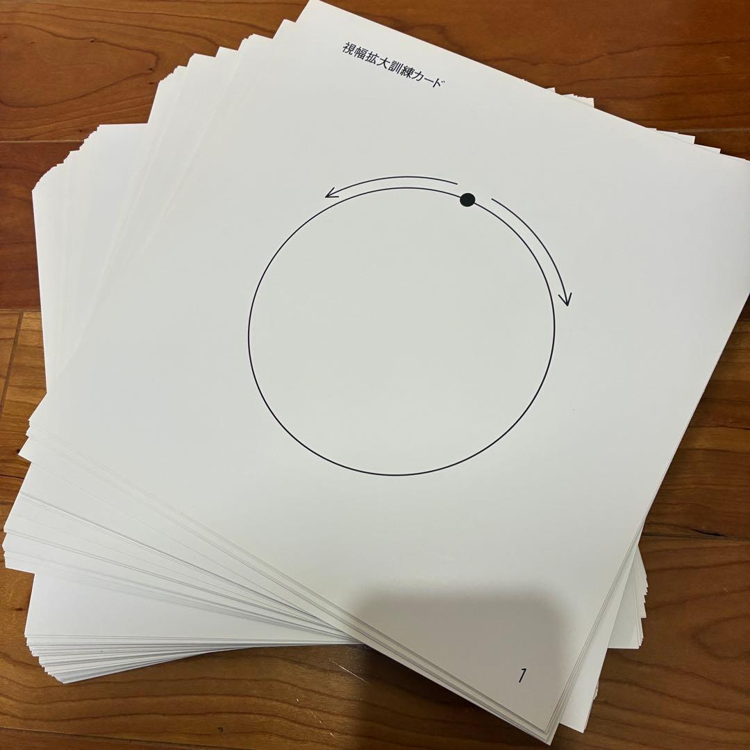 家庭保育園 ドーマンメソッド ドッツカード 書籍 DVD 脳活性化訓練カード