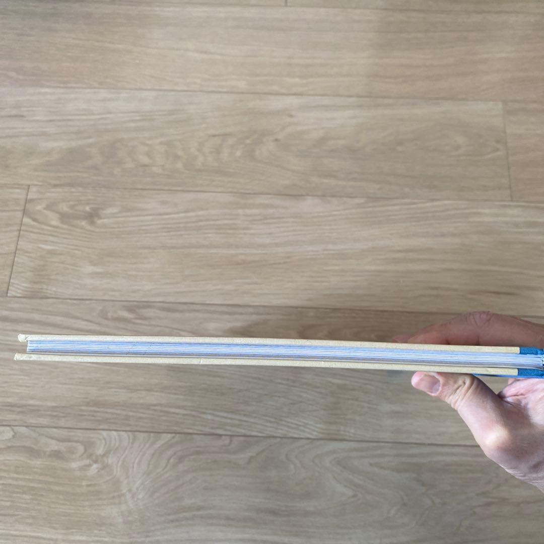 【著者サイン入？】Les Triples ～三つ子ちゃん～ フランス語版絵本