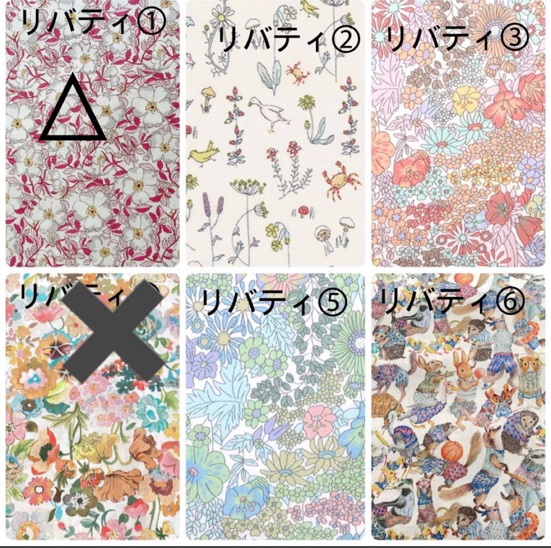 cedarページマルゴー17サイズバッグインバッグ