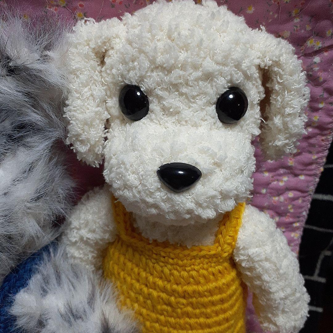 チャルリズです。　猫　ホワイトタイガー