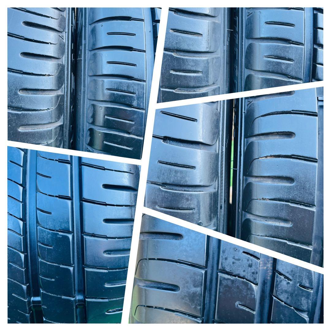 195/55 R16 .DUNLOP ENASAVE EC204 .2025 年