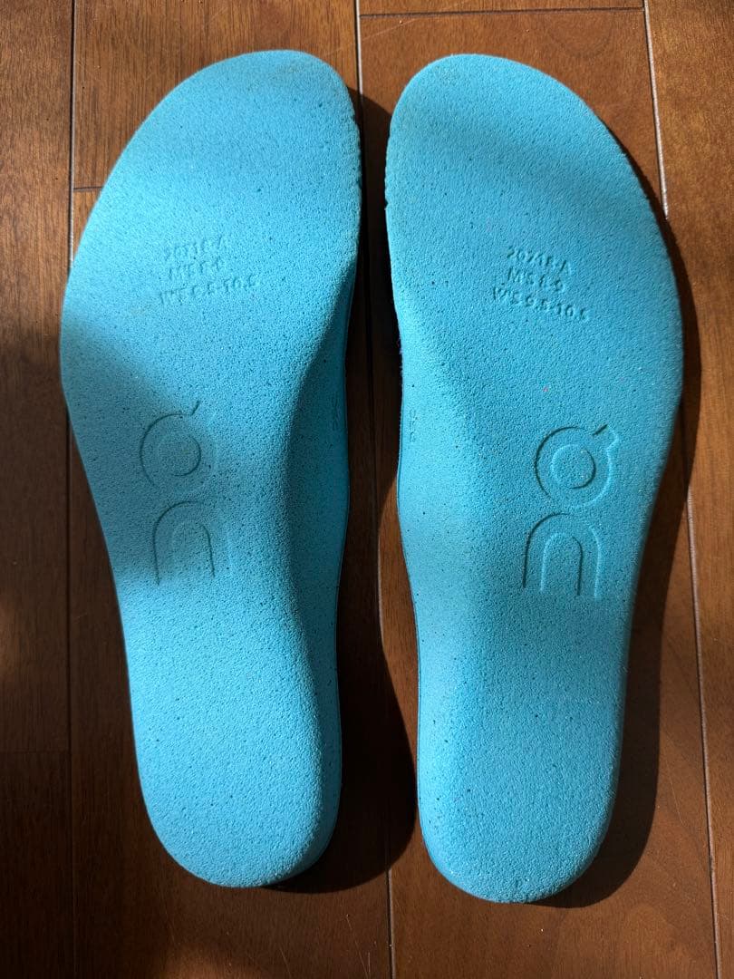 On running Cloudmonster Hyper 限定プリズム26.5