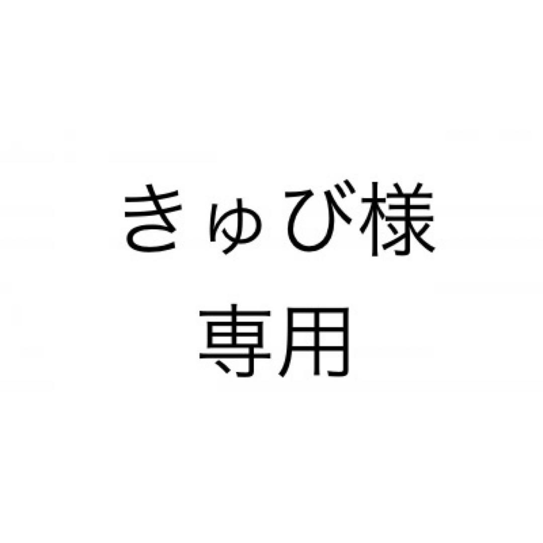 【きゅび】GALE SPEED RM ラジアルブレーキマスター 19×17