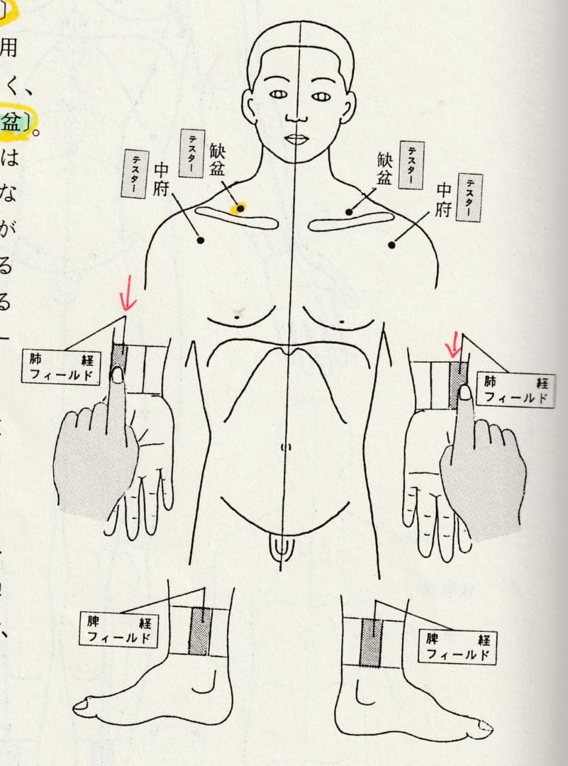 白井式 ケイラク気功、内臓治療、テスター、経絡リング　４点セット