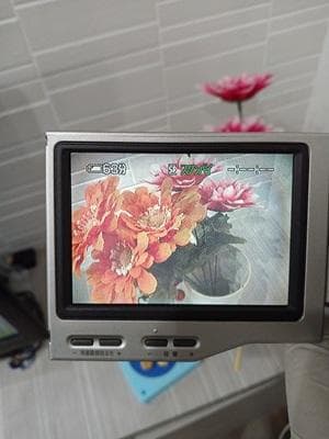 【訳あり品 箱付き】 ソニー Sony DCR-TRV10