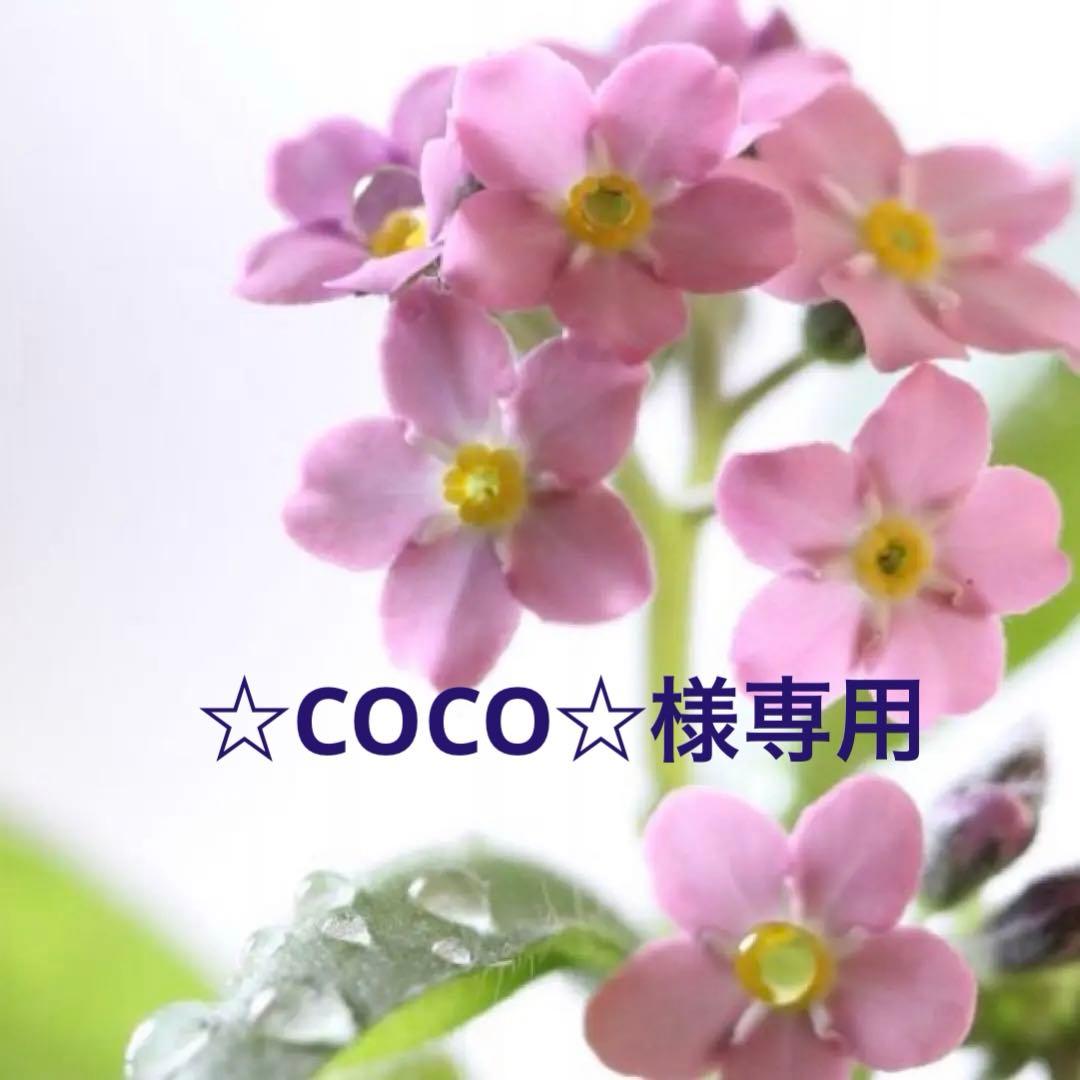 ☆COCO☆ページ✩.*˚サンキャッチャー
